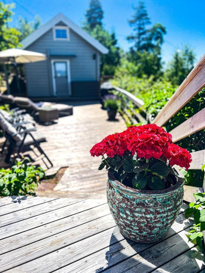 Summer Cabin By The Sea Holmsbu. Asker Buitenkant foto